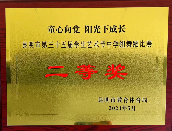 扬中华武魂，展体校风采 —昆明市体育学校获昆明市第三十五届学生艺术节中学组舞蹈比赛二等奖
